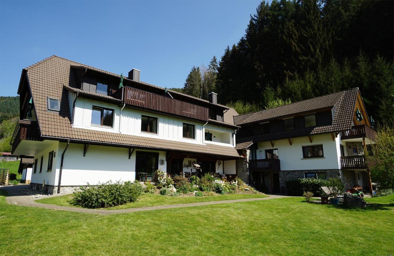 Hoellkopf - Stubenhof, Black Forest Симонсвалд Екстериор снимка