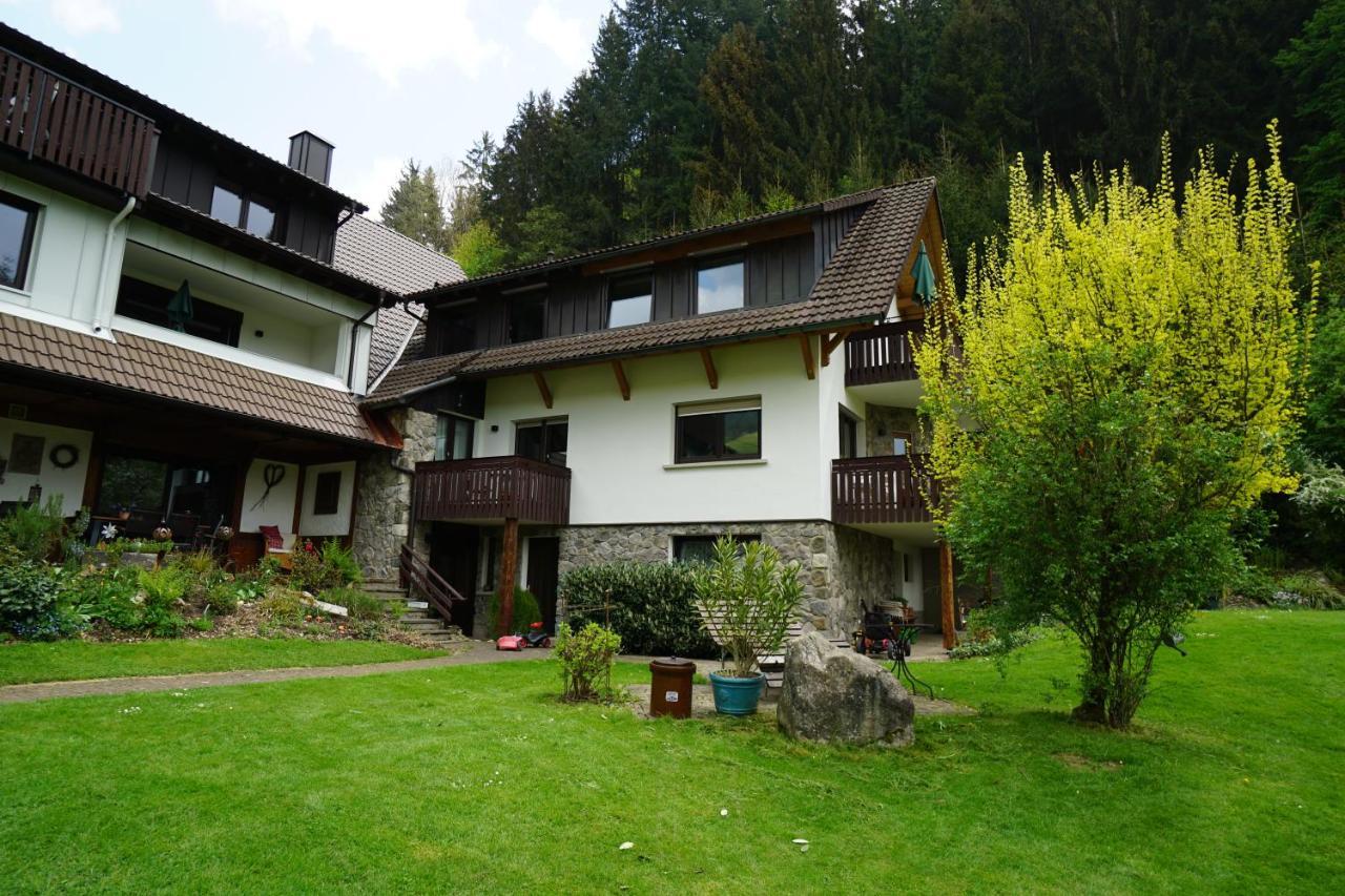 Hoellkopf - Stubenhof, Black Forest Симонсвалд Екстериор снимка